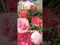 Watch This Pink Flower Arrangement Come Together 💗🌸