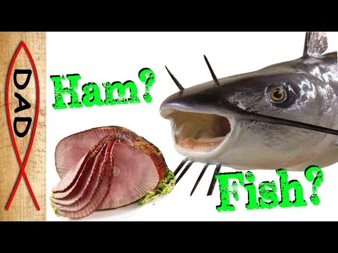 Fishing with ham - catfish will eat anything