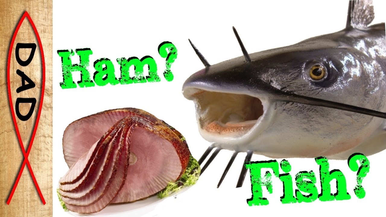 Fishing with ham catfish will eat anything YouTube