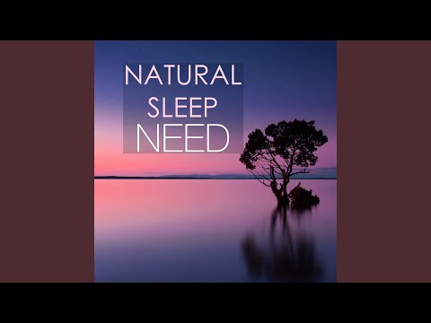 Top Tracks - Natural Cure Sleep Land