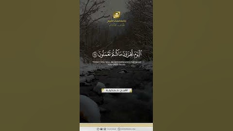 ماتيسر من سورة الجاثية الشيخ بندر عبدالعزيز بليلة