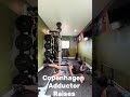 Constraints Led Approach to Cutting: General Physical Prep: Copenhagen Adductor Raises