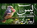 Surah Yaseen with Urdu Translation | Heart Touching Recitation | Qari Mansoor Ghaznavi