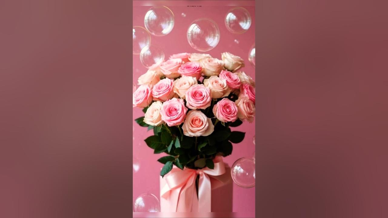 Top Best Roses Flowers Guldasta Shorts Status Videos π #shorts #flowerstatus Top Best Roses Flowers Guldasta Shorts Status Videos π #shorts #flowerstatus
