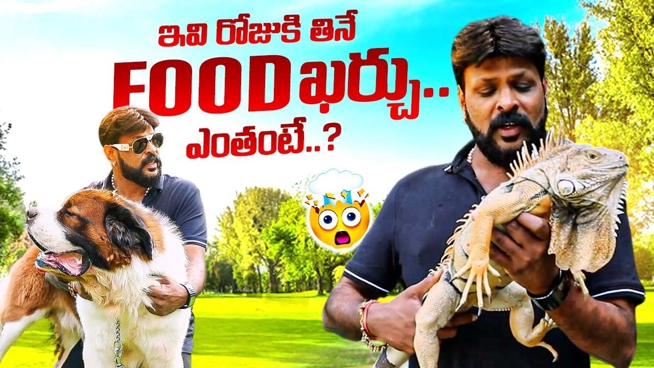 ఇవి రోజుకి తినే FOOD ఖర్చు.? | Chikoti Praveen About His Pet Dogs | Chikoti Praveen Latest | iDream