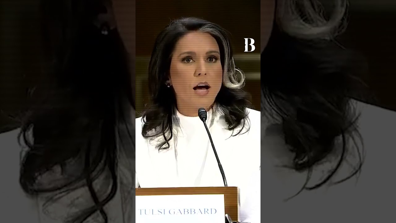 Tulsi Gabbard Strikes Back I Refuse To Be Their Puppet 