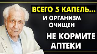 ОЧИСТКА ОРГАНИЗМА от Шлаков и Токсинов И Здоровое Сердце!  Советы Долголетия Неумывакина по Питанию