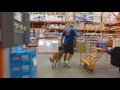 Belgian Malinois Belgian Malinois