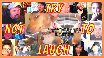 TRY NOT TO LAUGH CHALLENGE 52 - by AdikTheOne - REACTION MASHUP - [ACTION REACTION]
