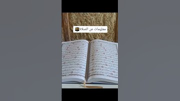 ضع شيء تؤجر عليه ❤️ #القرآن_الكريم #تلاوة_خاشعة #سورة_الإخلاص #القرآن