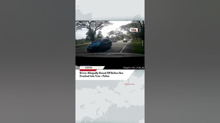 Driver Allegedly Dozed Off Before Bus Crashed into Tree – Police