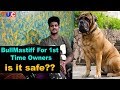 BULLMASTIFF For 1st Time Owner : is it safe?? : TUC の動画、YouTube動画。