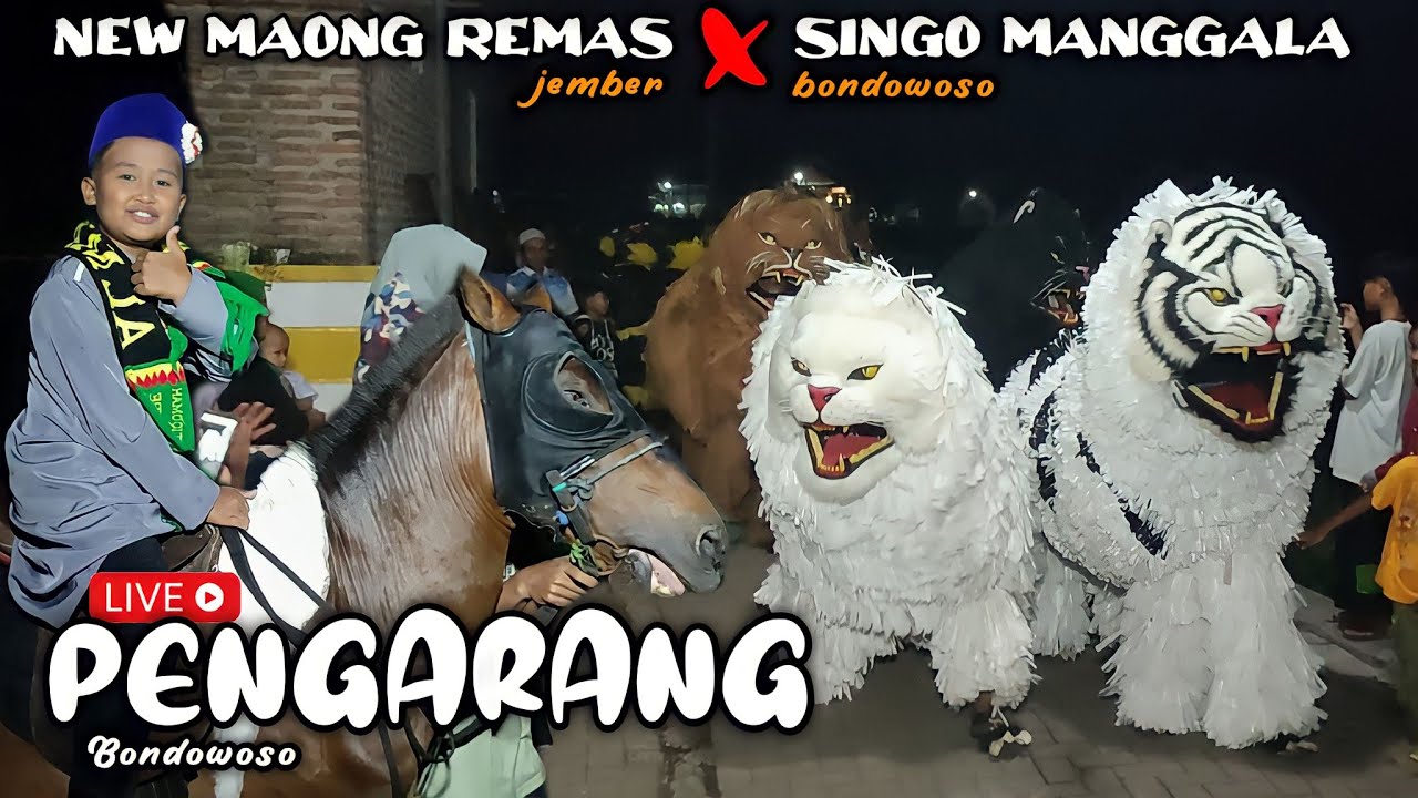 BARU!! FULL New Maong Remas & Singo Manggala tampil di PENGARANG | drumband can macanan | lion dance