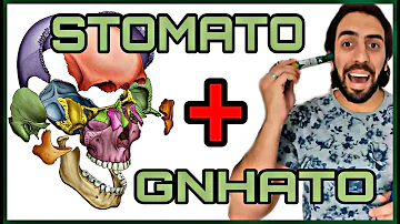 Quais são as funções do sistema estomatognático?
