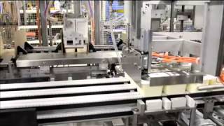 Massman Automation Wraparound Case Packer for Tapared Tubs