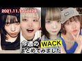 【11月13日号】週刊WACK！ASPナアユ脱退と退所！PEDRO×だいにぐるーぷ『1週間逃亡生活』AKB柏木由紀と可愛い豆柴の大群＆イカついGTTB⇔えちえちPARADISES！EMPiRE最新MV