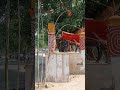 dekhiae man Vaishno ka Chamatkar Jay Mata Kali Jay man sheravali
