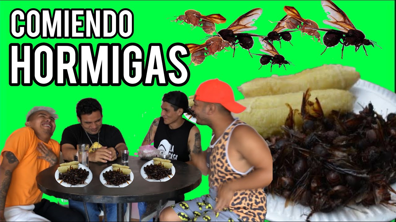 COMIENDO HORMIGAS CUL0NAS DE LA SELVA (SIQUISAPAS) | ROCKMA @El Sover