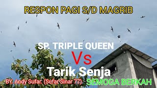 Sp triple queen vs tarik senja || Suara By Andy Sufar