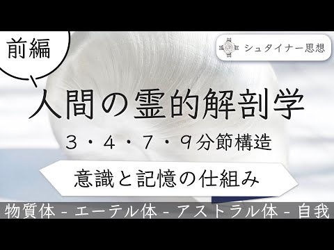 人間の霊的解剖学〜３・４・７・９分節構造｜前編　意識と記憶の仕組みのサムネイル