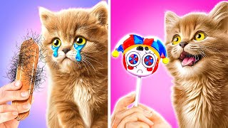 My Cat Is Becoming Pomni 😻🤡  *Pet In Digital Circus World* by Purr Tool 46,091 views 1 month ago 35 minutes