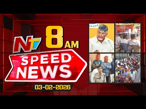 Speed News | 08 AM News Headlines | 03-02-2026 | NTV Telugu