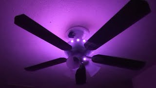 Hampton Bay Glendale Ceiling fan 1-year anniversary June 2025 review.