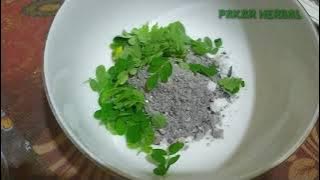 obat gatal alami pada kulit paling ampuh dan cepat hilang...!