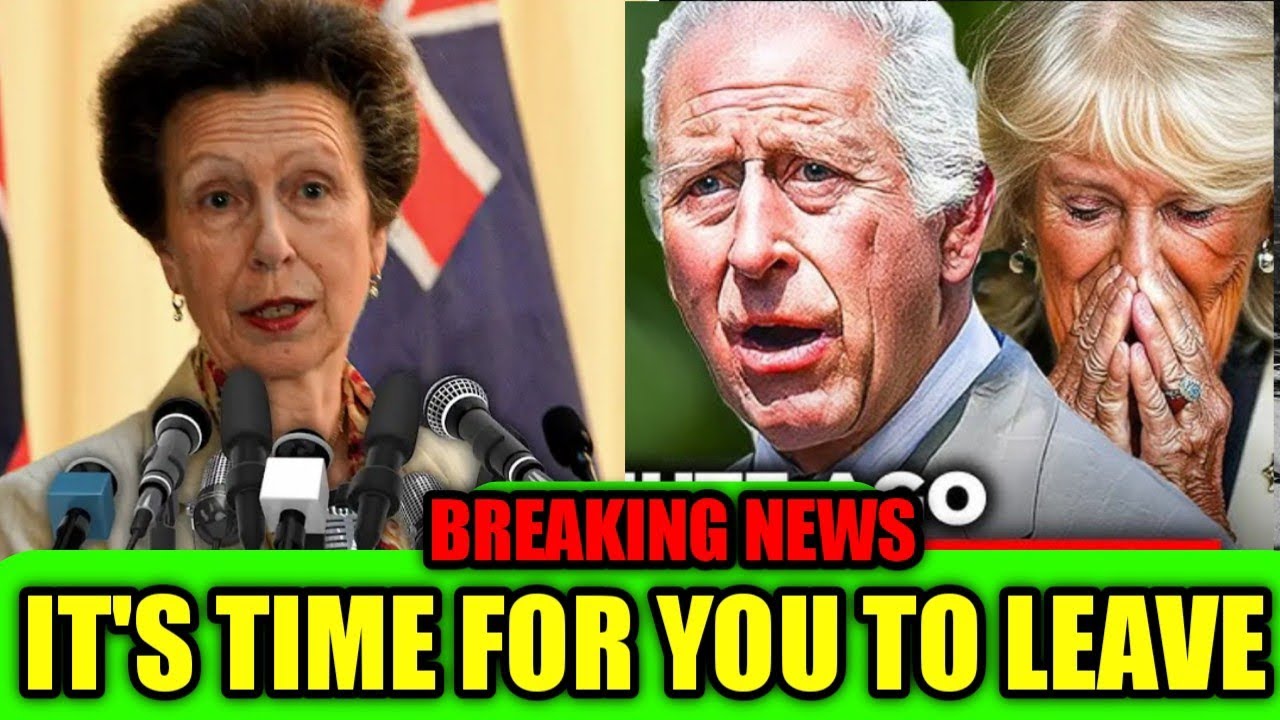 Princess Anne shocking revelation about queen Camilla's mental health issue amid king Charles cancer