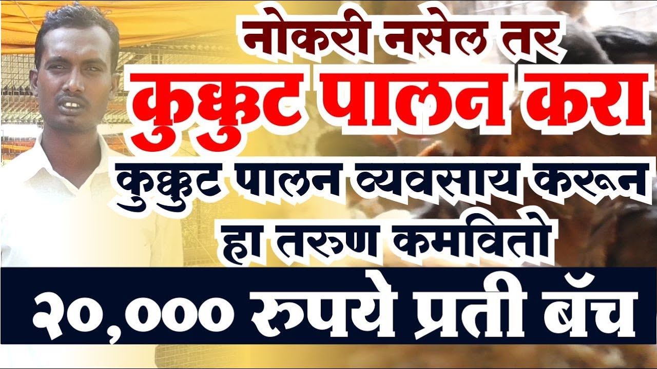 Poultry farm business plan in Marathi | poultry farming | kukut palan