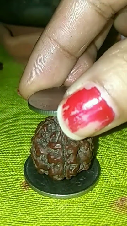Testing #rudraksha #real or #fake #youtubeshorts #shivbhakt #trending #pure #katmandu