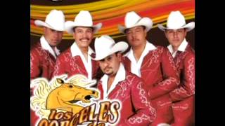 Mary Lee - LOS CORCELES DE TIJUANA