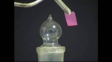 Phản ứng giữa Clo Cl2 và Nước H2O   Clo tác dụng với nước