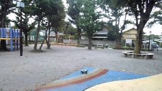 ラジコンで遊ぶ2014083102