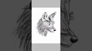 beautiful fox (ibis paint)