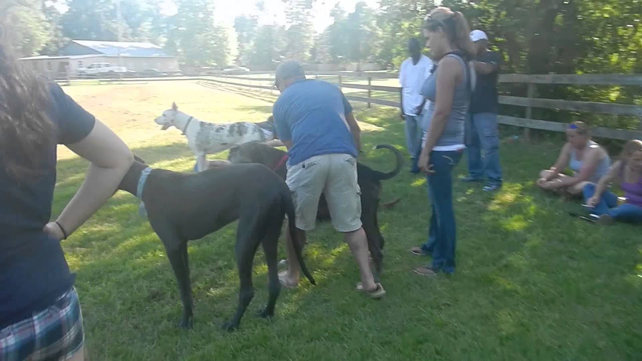 Josh wearing flip flops!