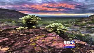Celebrity Science of Sunsets Net Worth