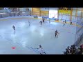 Canada vs USA Women 2024 Full Match Replay Arena | Ball Hockey