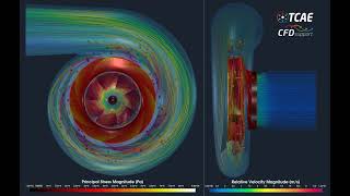 Centrifugal Pump Deformation and Particle Like Flow by TCAE