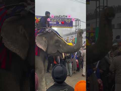 Song Liveshaheedisamagamgurudwarachamkaursahib Punjabisong Shots Singer Lifeisbutadream 