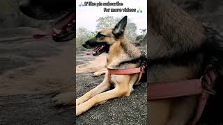 Mili Watching Something