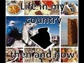 Life in my country Algiria  then and now _ الحياة في الجزائر قديما والآن