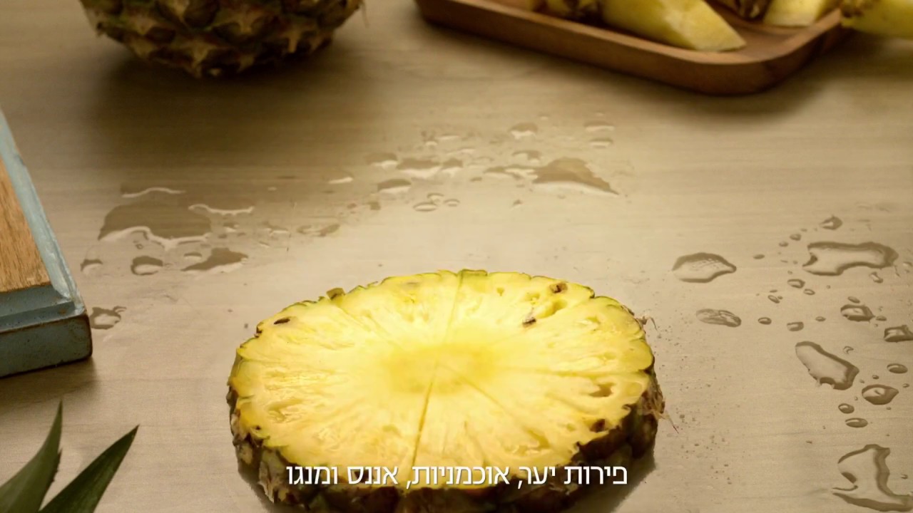 Sunfrost - Frozen Berries Fruits