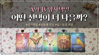 [타로] 두가지 선택지 중 어떤 것이 더 나은 선택일까? | 양자택일 | 조언 타로