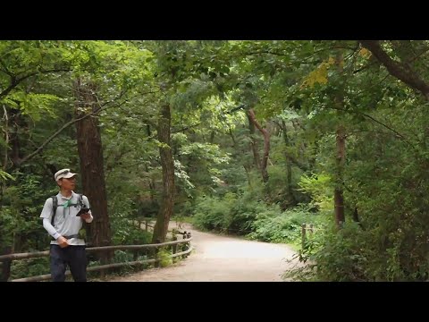 힐링이 되는 걷기 좋은 숲, 계곡 산책길 - 북한산 고양 입구