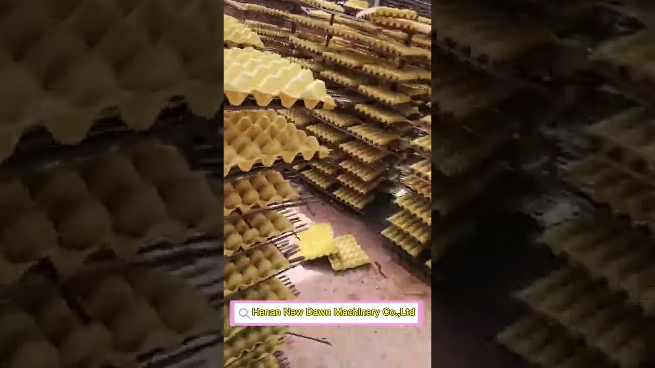 New Dawn Egg Tray Machine | Small Egg Tray Machine | Manual Egg Tray Machine｜Egg Tray