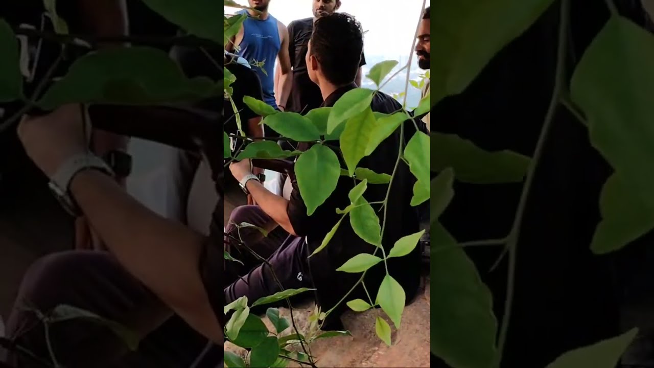 Jaipur hills vibes... 