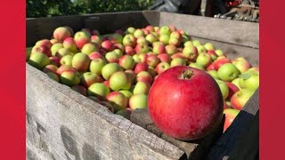 Ring in fall at Robinette's