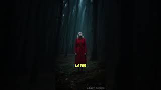 Romania The Hoia Forest