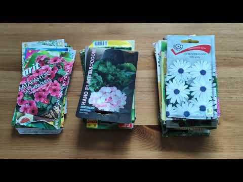 Видео: Размножение семян комнатных растений: зачем выращивать комнатное растение из семян